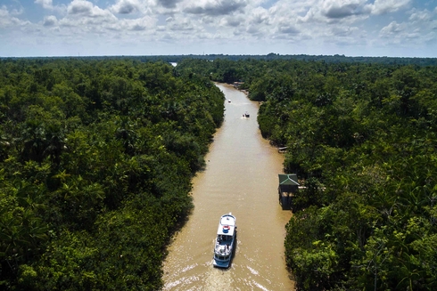Embarcación navegando por un río en medio de zona selvática. Desarrollo sostenible - Banco Interamericano de Desarrollo - BID